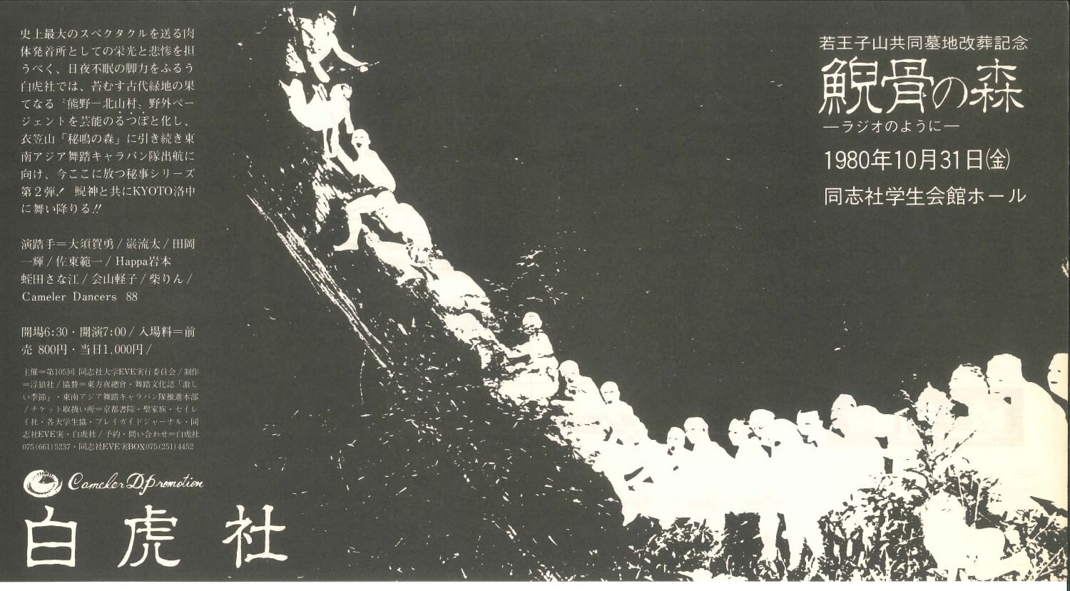 The Forest of Whale’s Bones